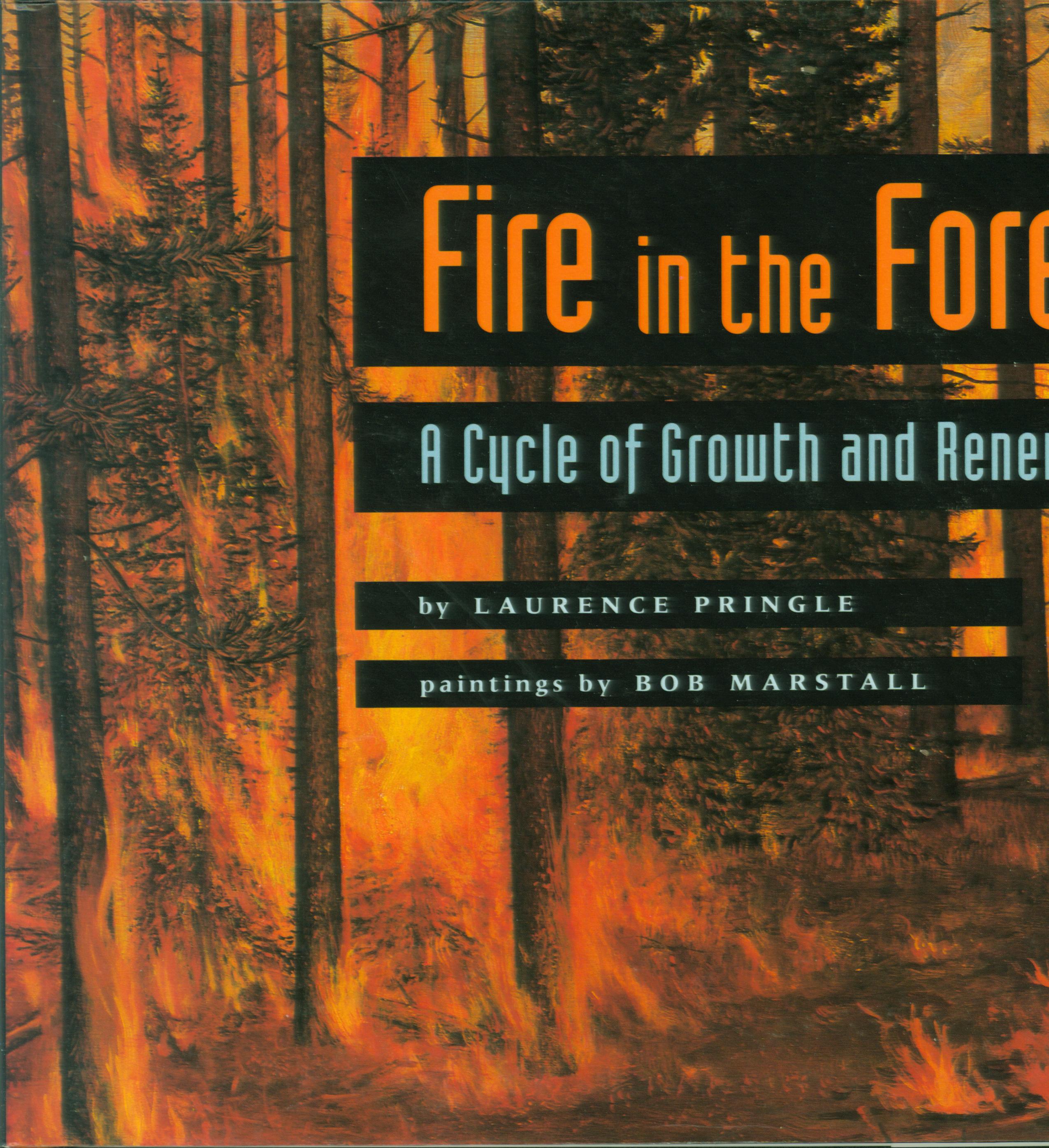 FIRE IN THE FOREST: a cycle of growth and renewal. 